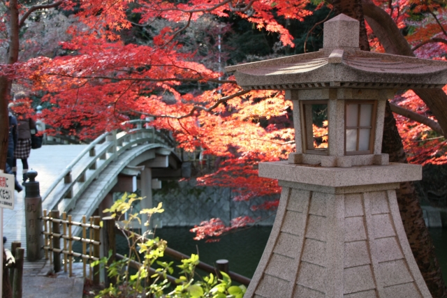 東公園の灯ろうともみじ